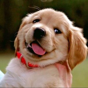 Meet your Posher, Daniela